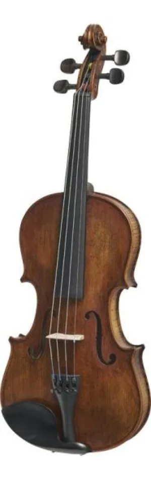 Stentor Verona Violin Outfit (Full Size)